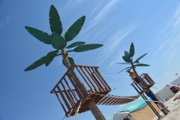 Tropical Treehouse