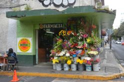 Tlalpan