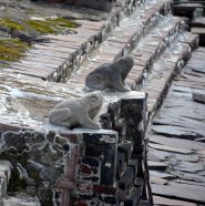 Templo Mayor