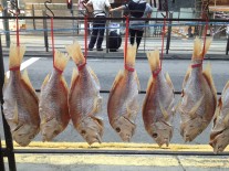 Sai Ying Pun