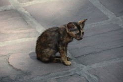 Impressions from Bangkok