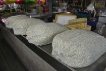 Impressions from Bangkok