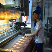 Visit to the Silk factory
