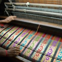 Visit to the Silk factory