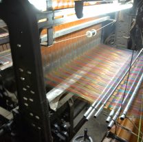 Visit to the Silk factory