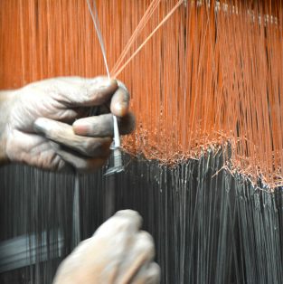 Visit to the Silk factory