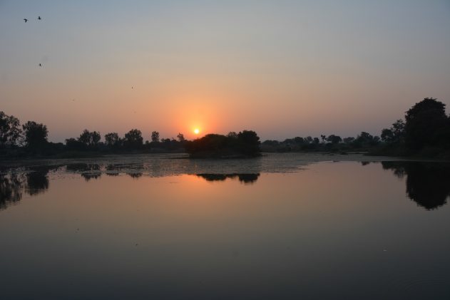 DSC_6228