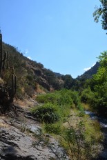 Santuario de La Naturaleza El Arrayán