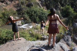 Santuario de La Naturaleza El Arrayán